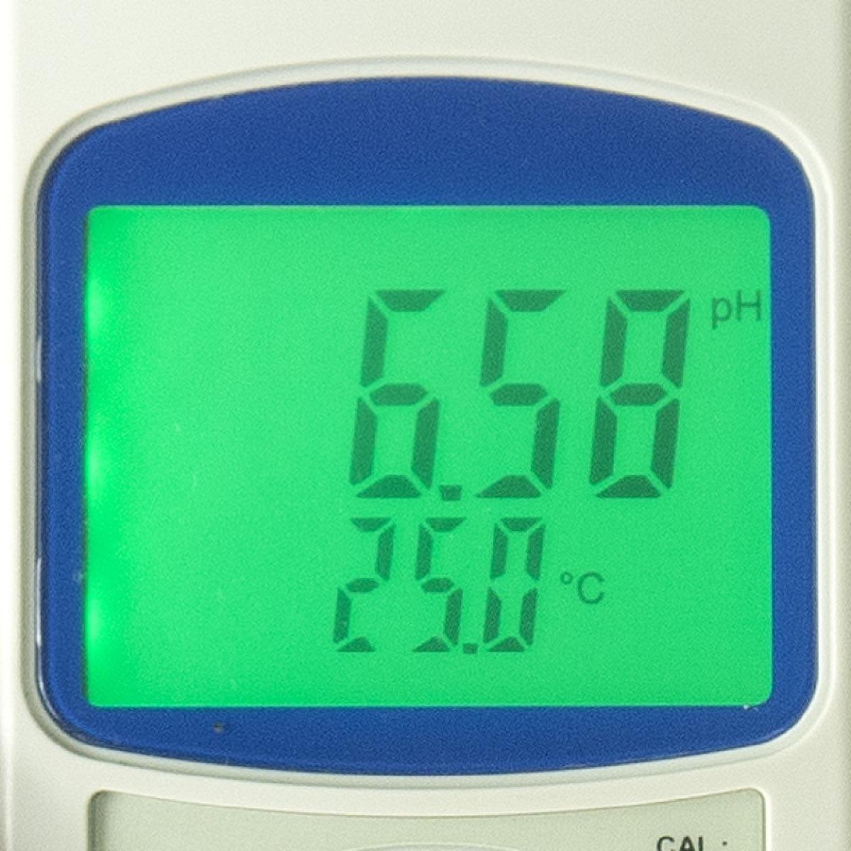 25