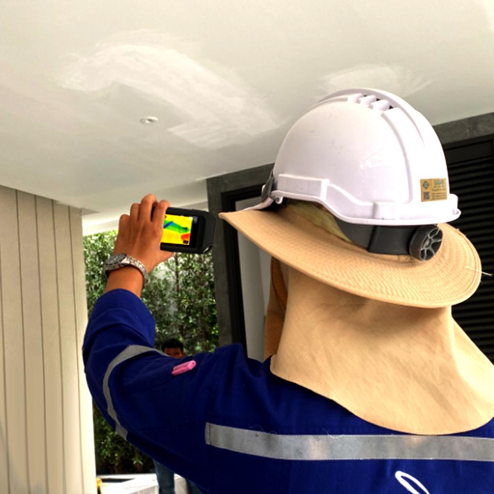 FLIR-C5