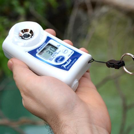 Atago PAL-SALT PROBE เครื่องวัดความเค็มแบบมีโพรบ IP65